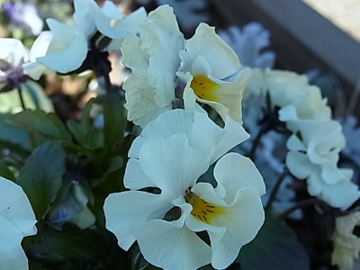 c0209377_18293861.jpg