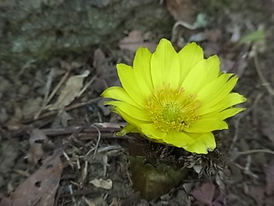 c0209377_18303263.jpg