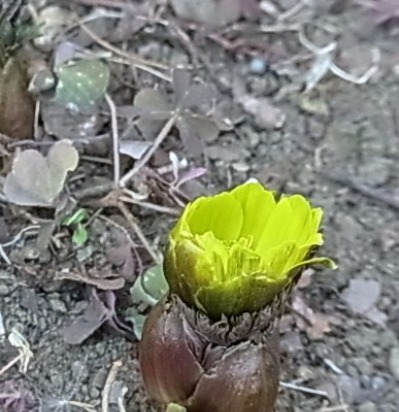 c0209377_18314769.jpg