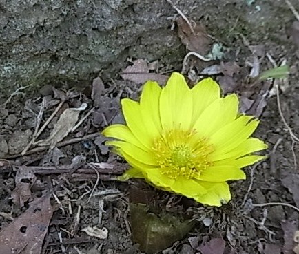 c0209377_2122282.jpg