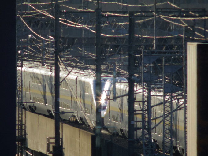 e0082981_2334137.jpg
