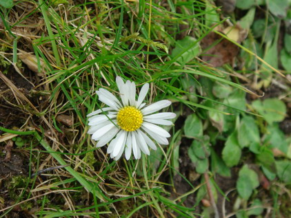 a0247585_8303631.jpg