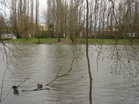 a0247585_86565.jpg