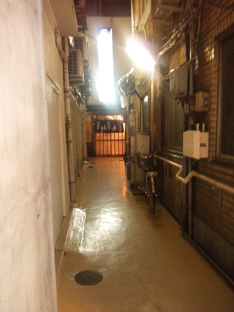 b0100489_172692.jpg