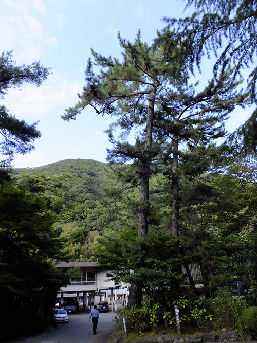 c0001491_2393275.jpg