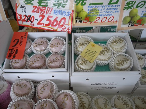 f0131491_187156.jpg