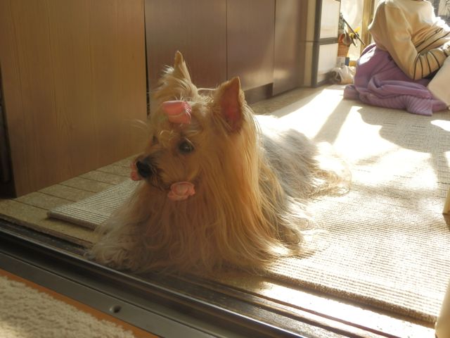 f0130894_21582381.jpg