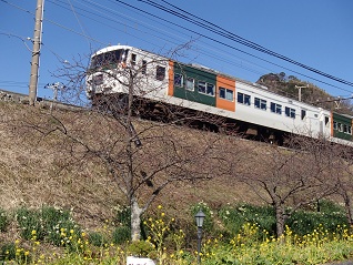 c0187298_21411733.jpg