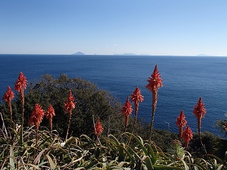c0187298_21463240.jpg