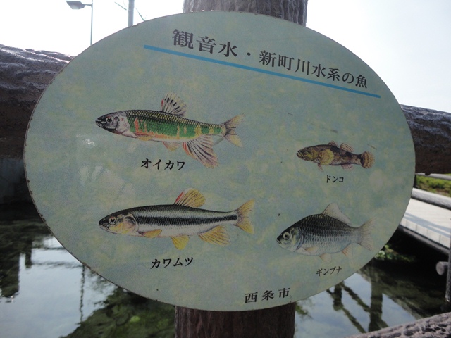 f0231709_2311119.jpg