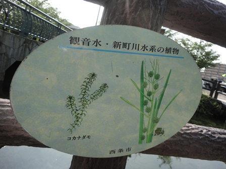 f0231709_23113773.jpg