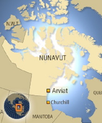 a0151913_1501454.jpg