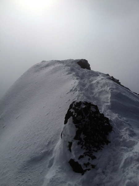 c0177814_17164157.jpg