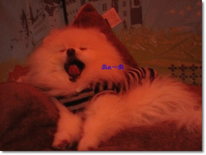 b0167519_2242921.gif