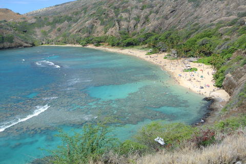 e0219520_16471143.jpg