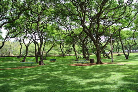 e0219520_173745.jpg