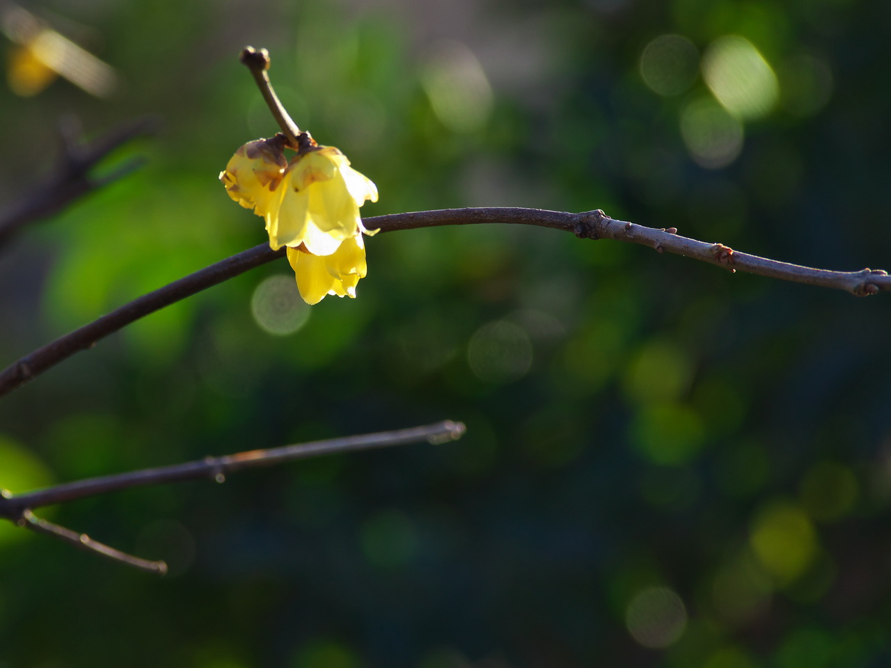 b0093625_18542177.jpg