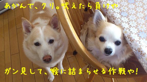 b0138430_11221583.jpg
