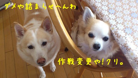 b0138430_1122199.jpg