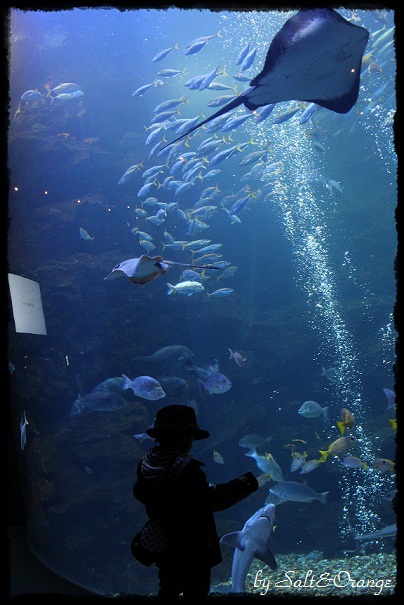 e0246732_22322670.jpg