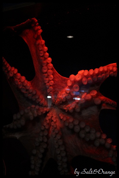 e0246732_22551499.jpg