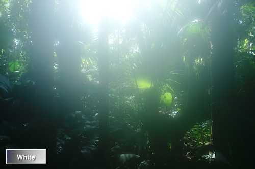 c0227134_0203846.jpg