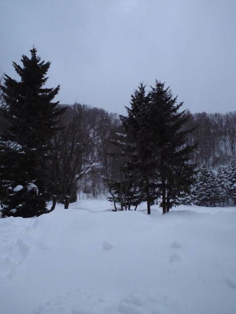 c0117239_8593653.jpg