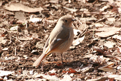 b0019140_15133368.jpg