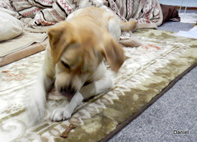 a0142343_11144081.jpg