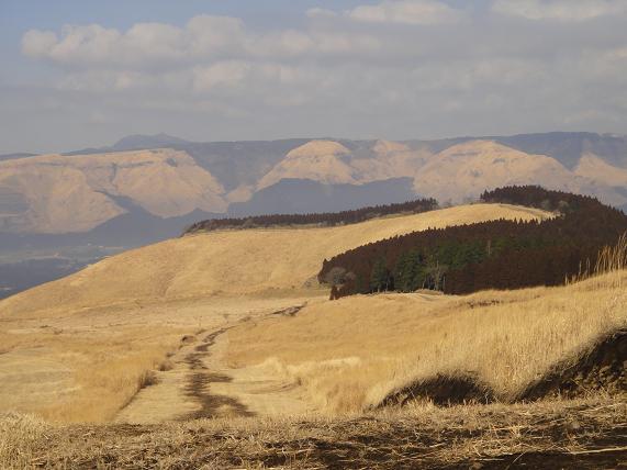 e0164643_13532316.jpg