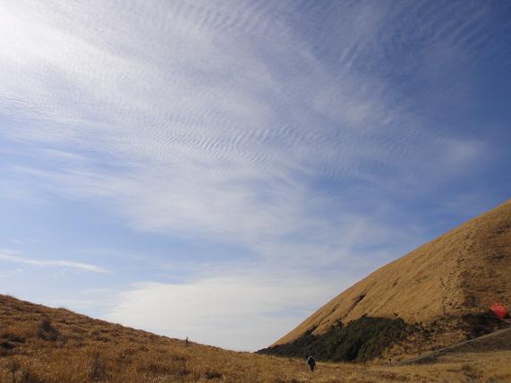 e0164643_21133572.jpg