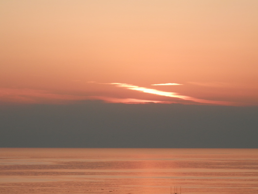 e0288951_1711855.jpg