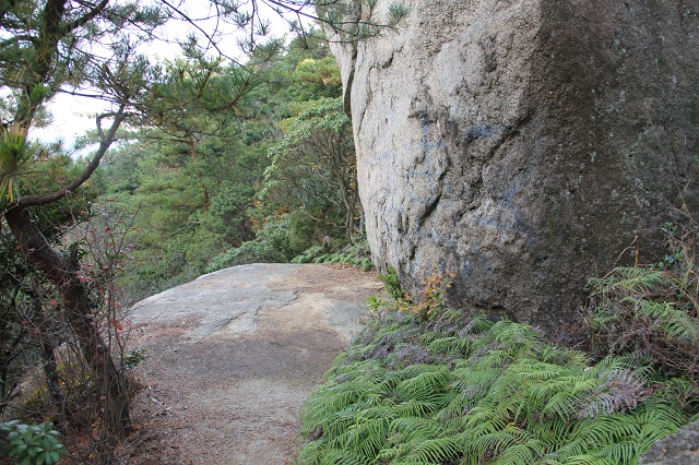 b0095061_15224546.jpg