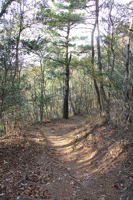 b0095061_1572248.jpg