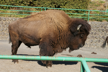 b0132361_0583846.jpg