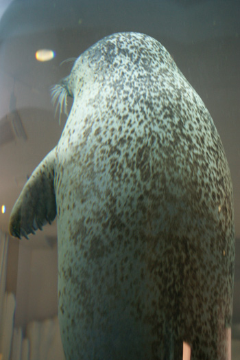 b0132361_0595027.jpg