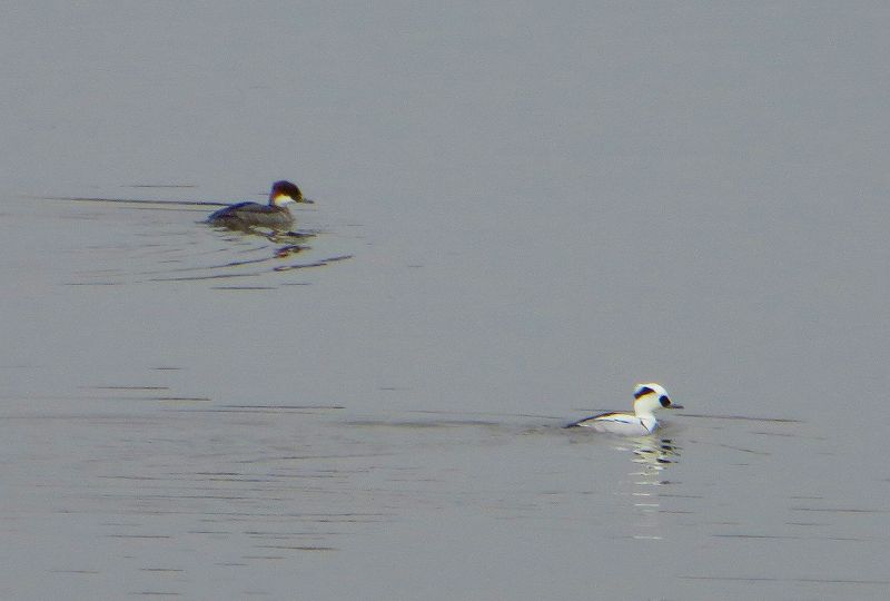 b0167370_1161439.jpg