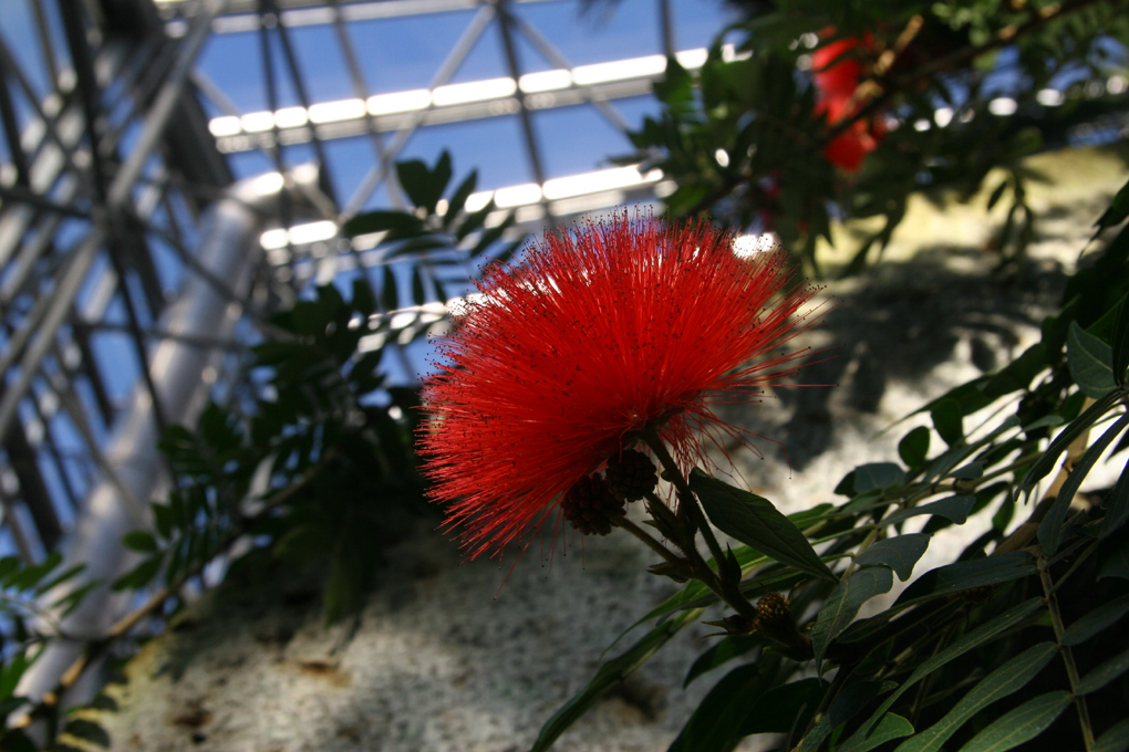 e0118274_20321278.jpg