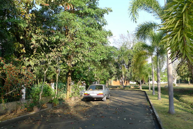 f0178278_15151451.jpg