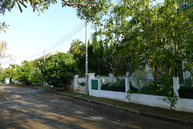 f0178278_1584179.jpg