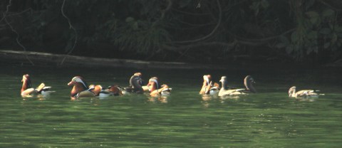 e0197884_2171662.jpg