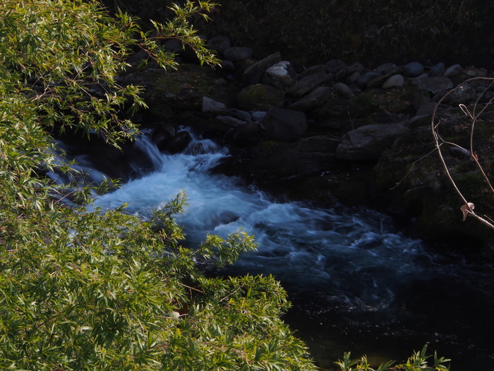 a0149488_0311436.jpg