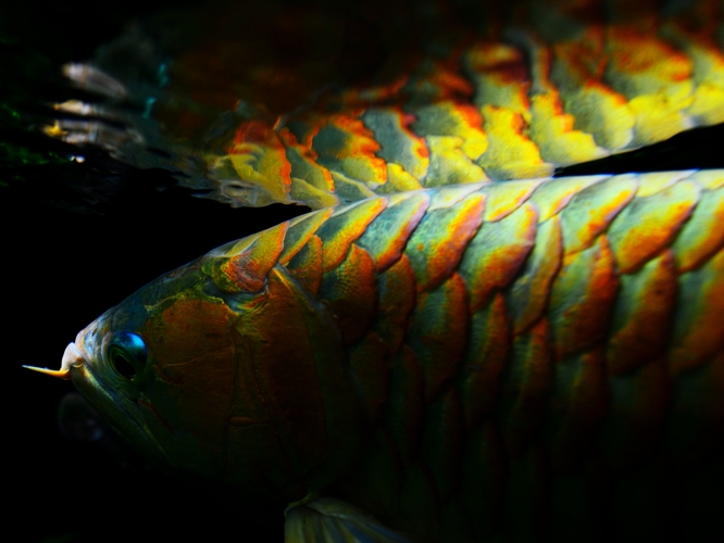 f0103688_2249333.jpg