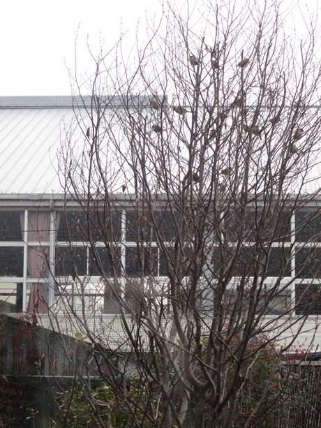a0281590_9221495.jpg