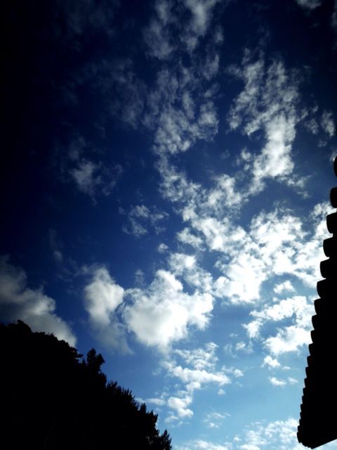d0286391_1233185.jpg