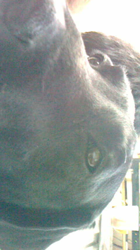d0291493_15261433.jpg