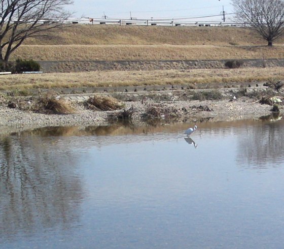 a0031000_1875146.jpg