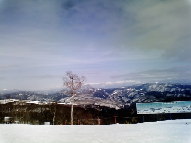 c0024502_22102452.jpg
