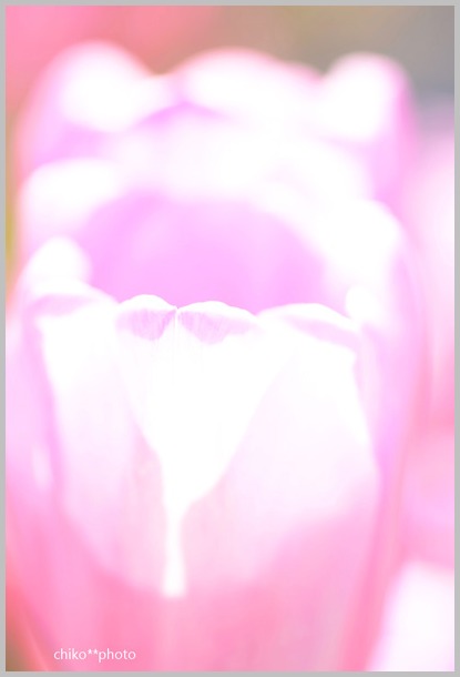 c0165003_22363366.jpg