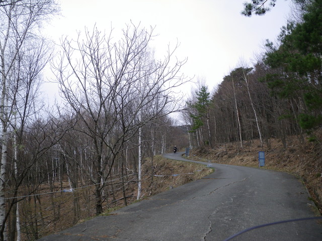 a0116205_14235636.jpg